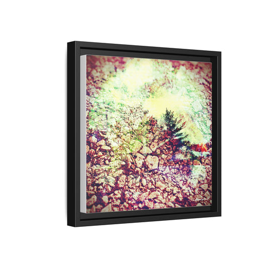 Caterpillar - Gallery Canvas Wrap, Square Frame