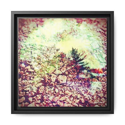 Caterpillar - Gallery Canvas Wrap, Square Frame